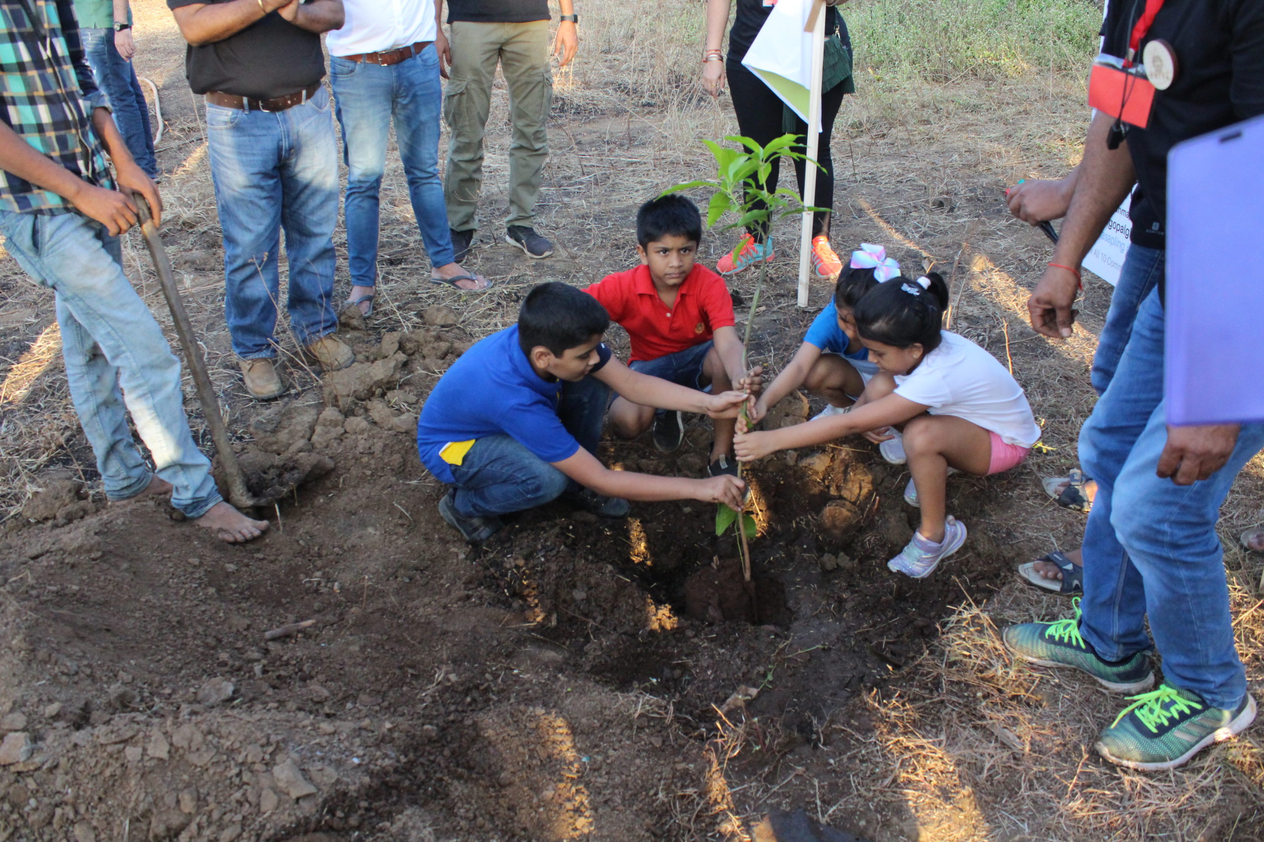 Farming-at-Palghar-wada-shivaa-ngo