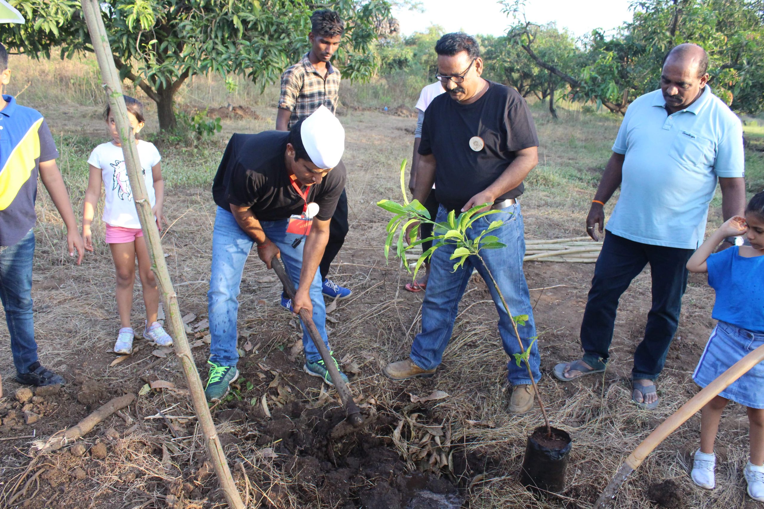 tree-plantation-palghar